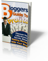 bloggers guide profits, ebook